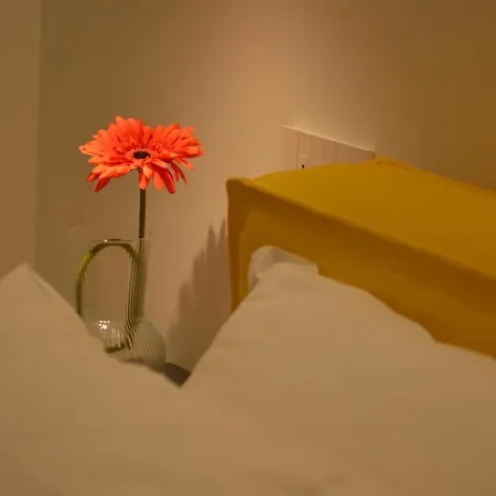 Guest house La Cicada